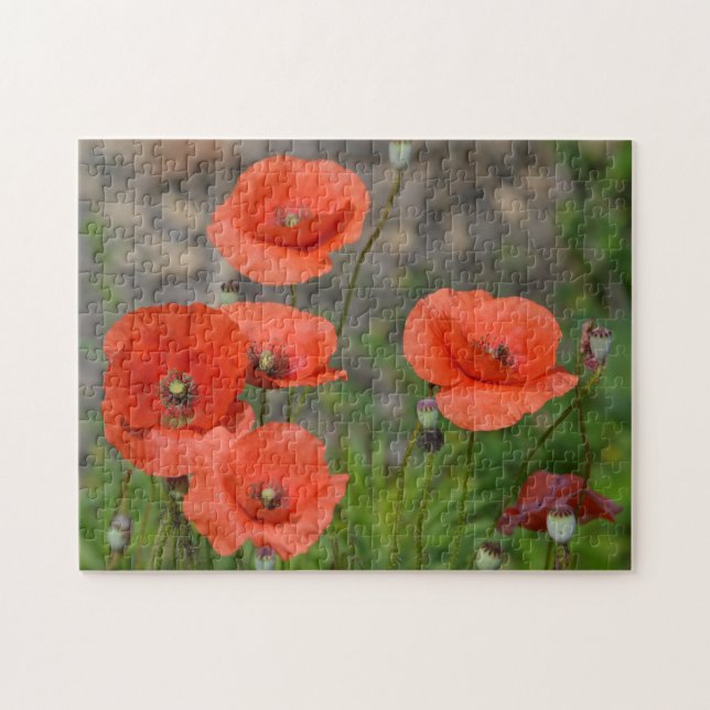 Söt Red Poppy Pussel (Horisontell)
