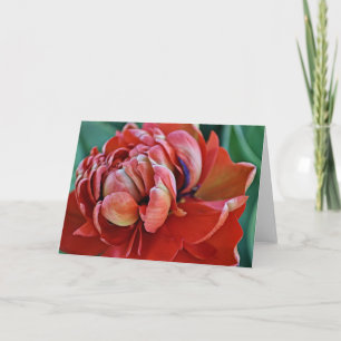 Söt Red Tulip och Scripture Card Kort