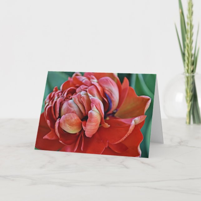 Söt Red Tulip och Scripture Card Kort (Framsida)