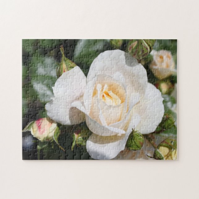 söt rena blommor från vit ros, kärlek, romantik pussel (Horisontell)