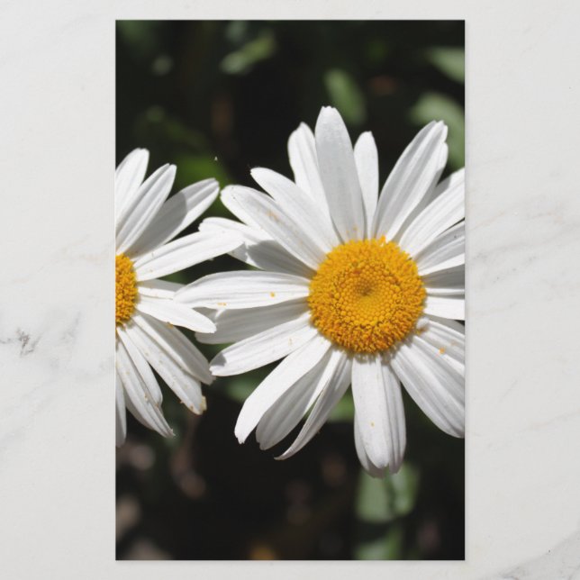 Söt, rent vita daisy brevpapper (Framsida)