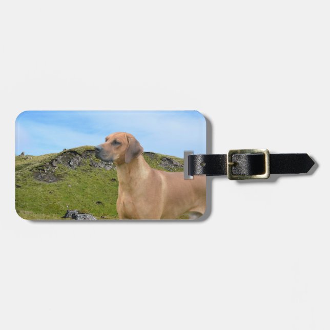 Söt Rhodesian Ridgeback hund Bagagebricka (Horisontell Framsida)