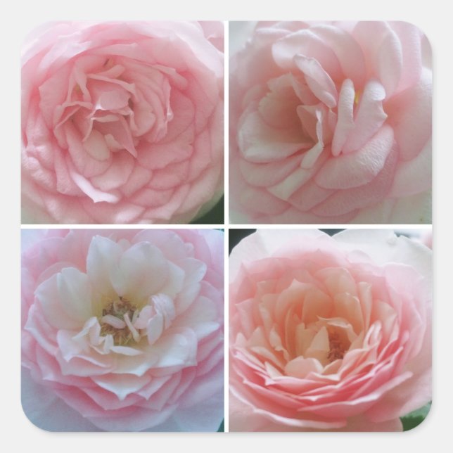 Söt Ro Fyrkantigt Klistermärke (Framsida)