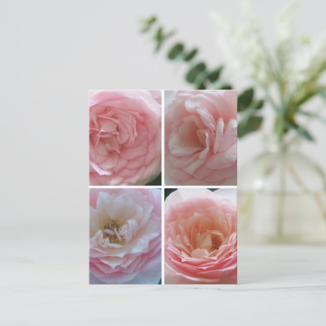 Söt Ro Vykort (Stående Fram)