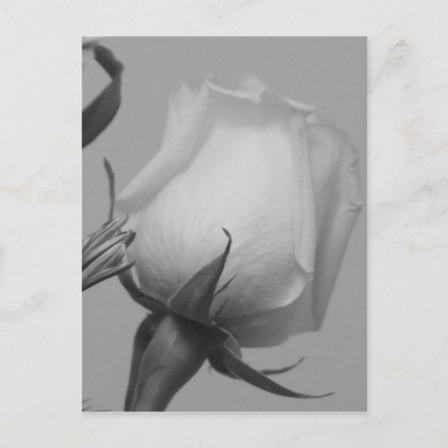 Söt Ro Vykort (Framsida)