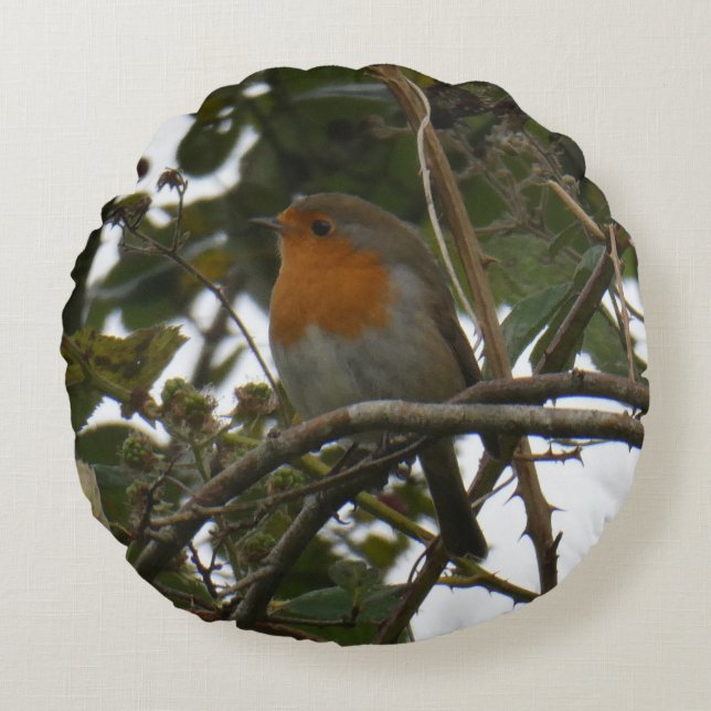 Söt Robin i den runda parkdynan Rund Kudde (Framsidan)