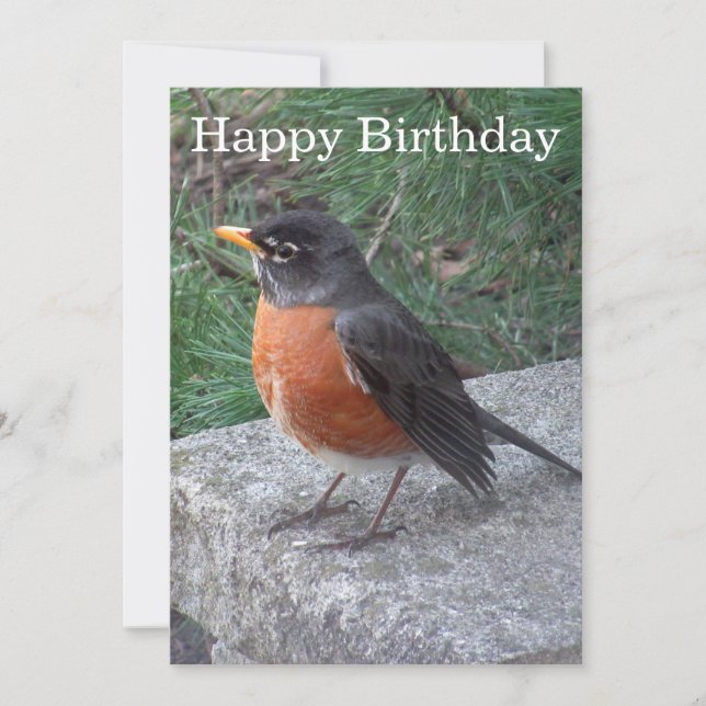 Söt Robin Photo Birthday-platta kort (Framsida)