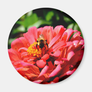 Söt röd blommigt och honungsbin magnet