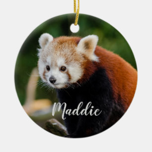 Söt Röd Panda Eld Fox Personlig Julgransprydnad Keramik