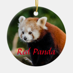 Söt Röd Panda Fire Fox Julgransprydnad Keramik