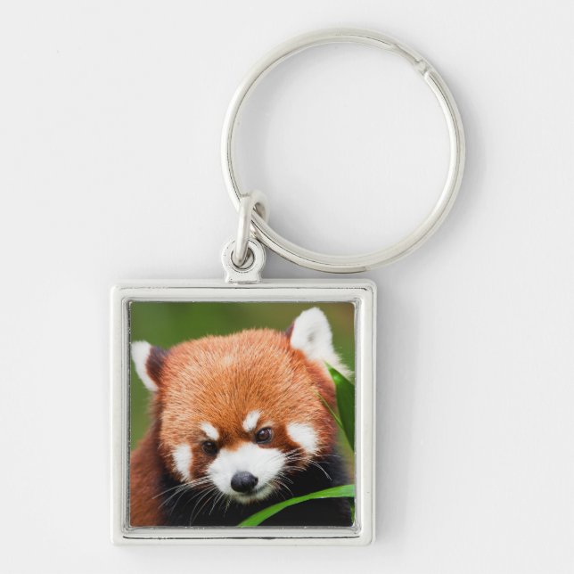 Söt Röd Panda Fyrkantig Silverfärgad Nyckelring (Framsidan)