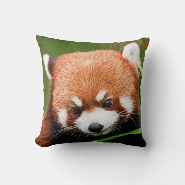 Söt Röd Panda Kudde (Framsida)
