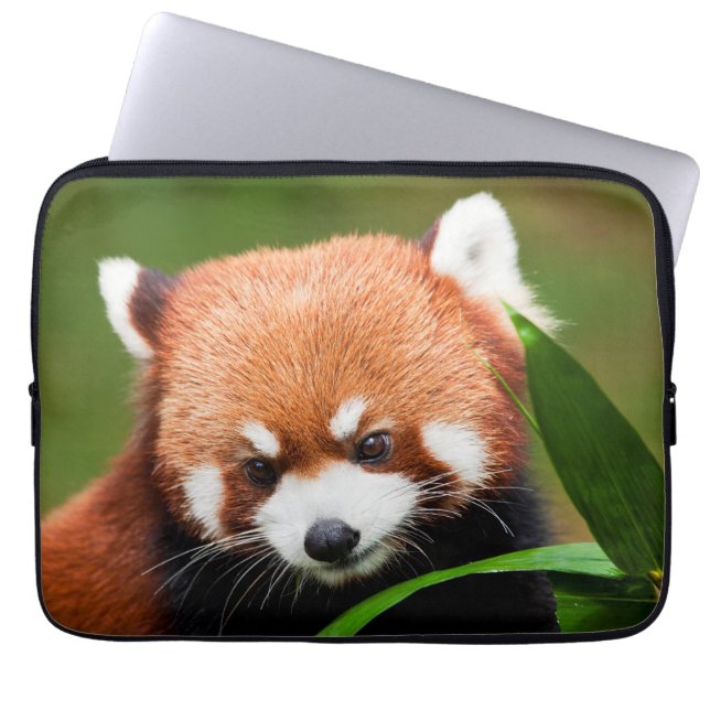 Söt Röd Panda Laptop Fodral (Framsidan)