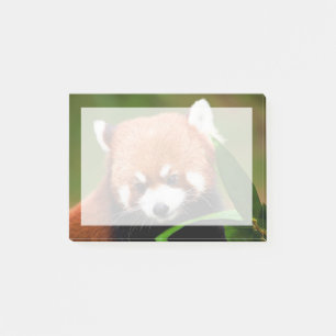 Söt Röd Panda Post-it Block
