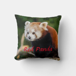 Söt Röd Panda Vild Natur Röd Text Kudde