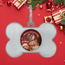 Söt röd vinröd glad jul hundnamnsfoto