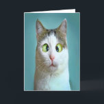 Söt Rolig Galen Katt Födelsedags Kort<br><div class="desc">Söt Rolig Galen Katt Födelsedags Kort av THEORY OF HUMOR Kort.</div>