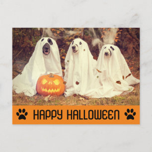 Söt rolig Halloween-spökhund Vykort