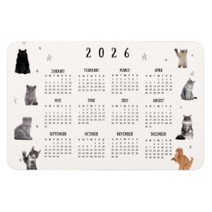 Söt Rolig Katt 2026 Kalender Magnet