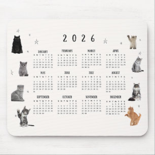 Söt Rolig Katt 2026 Kalender Musmatta
