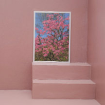 Söt Rosa Azaleas Blommigt