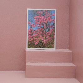 Söt Rosa Azaleas Blommigt Fototryck