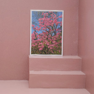 Söt Rosa Azaleas Blommigt Fototryck