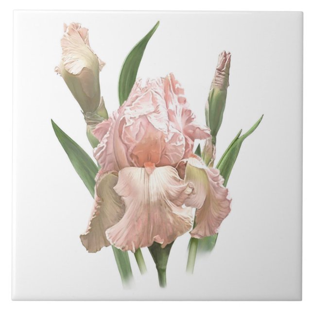Söt Rosa Bearded Iris Flower Botanical Art Kakelplatta (Framsidan)