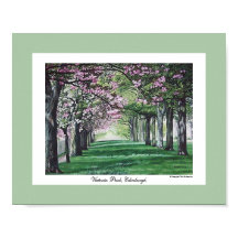 Söt rosa blommar Edinburgh bra konst