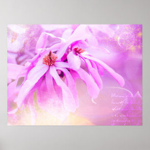 Söt Rosa Blommor Blommar Poster