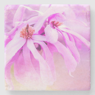 Söt Rosa Blommor Blommar Underlägg Sten