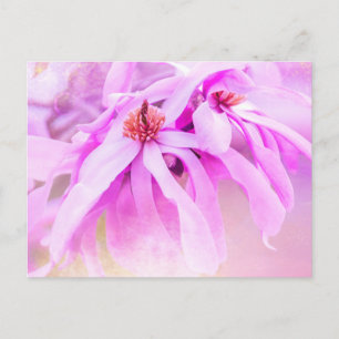 Söt Rosa Blommor Blommar Vykort
