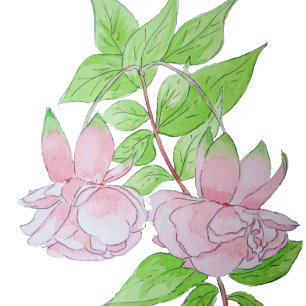 söt rosa blommor på blommigten svart bakgrund stenunderlägg