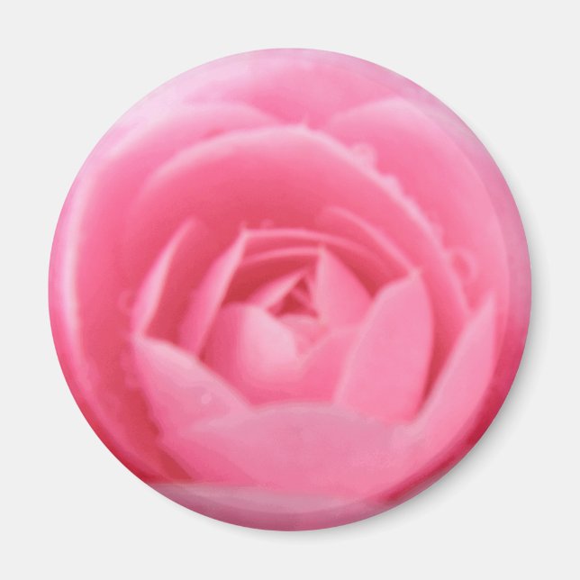 Söt Rosa Camellia Flower Magnet (Framsidan)