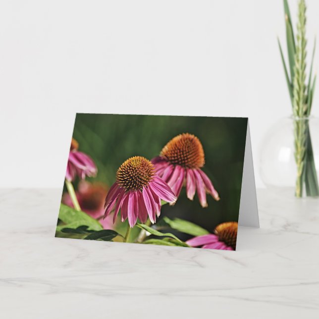 Söt Rosa Coneflower Garden Art Note Card Kort (Framsida)