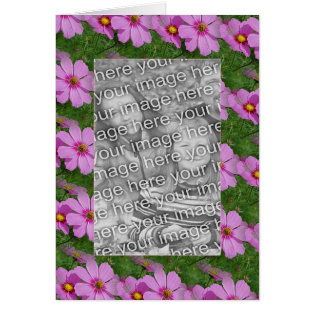 Söt Rosa Cosmos Flower Design Photo OBS Kort (Framsidan)