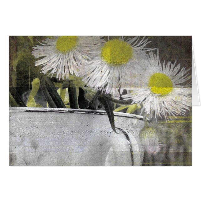 Söt Rosa Daisy-like Flowers i Tekopp Hälsningskort (Framsidan Horizontal)