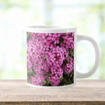 Söt Rosa Daphne-Blommigten