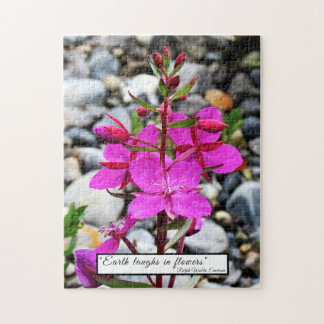 Söt Rosa Fireweed Wildblommor Bloom i Kanada Pussel