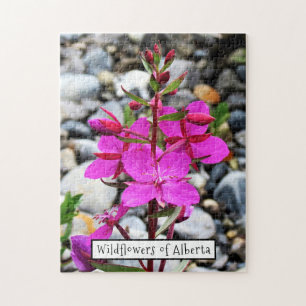 Söt Rosa Fireweed Wildblommor Bloom i Kanada Pussel