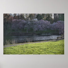 Söt Rosa Flowered Träd Pond Poster