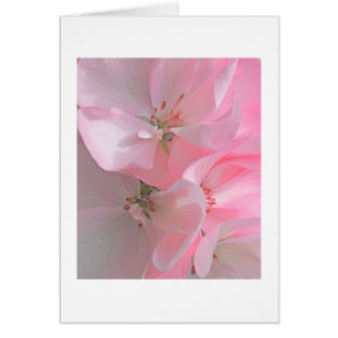 Söt Rosa Flowers Blank Note OBS Kort