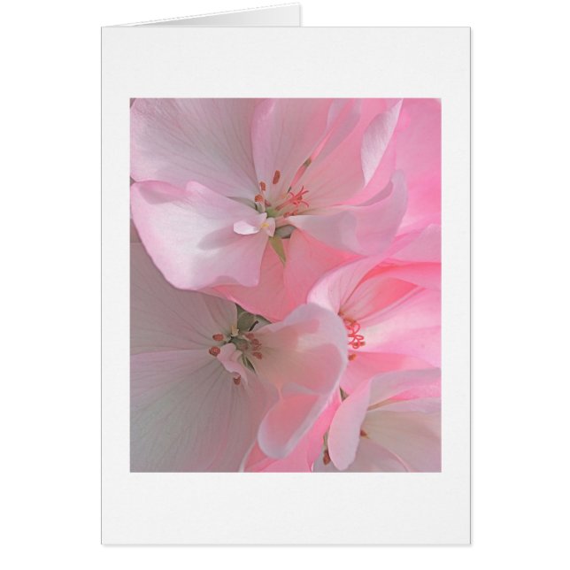 Söt Rosa Flowers Blank Note OBS Kort (Framsidan)