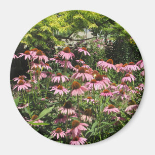 Söt Rosa Flowers of the Midwest Photo Magnet