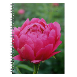 Söt Rosa Garden Peony Anteckningsbok