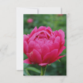 Söt Rosa Garden Peony Anteckningskort