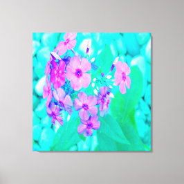 Söt Rosa Garden Phlox Flower på Aquamarine Canvastryck
