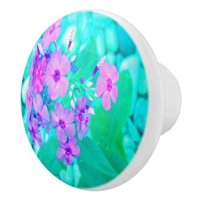 Söt Rosa Garden Phlox Flower på Aquamarine Knopp (Höger)