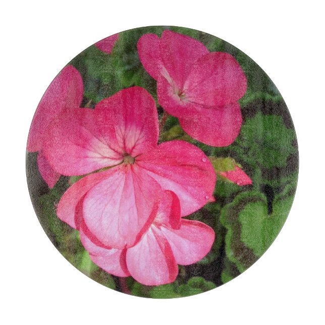Söt Rosa Geranium Flower med vattendropp foto (Framsidan)