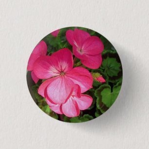 Söt Rosa Geranium Photo Button Knapp